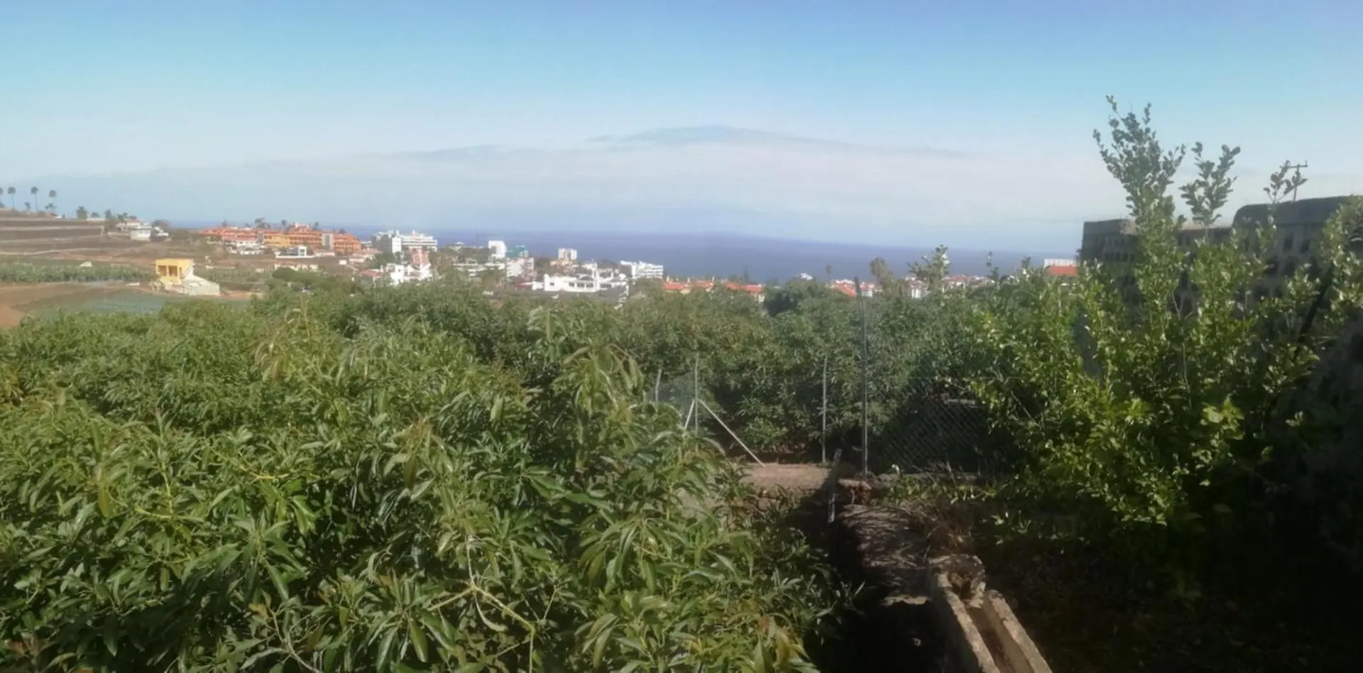 Finca Las Tapias, Casa Don Juan La Paz  0*, La Paz (Tenerife) إسبانيا